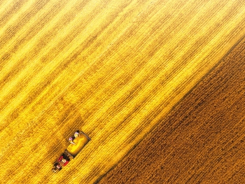 糧安天下的“河南貢獻”